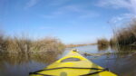 Thursday Afternoon Paddle Around the Delta