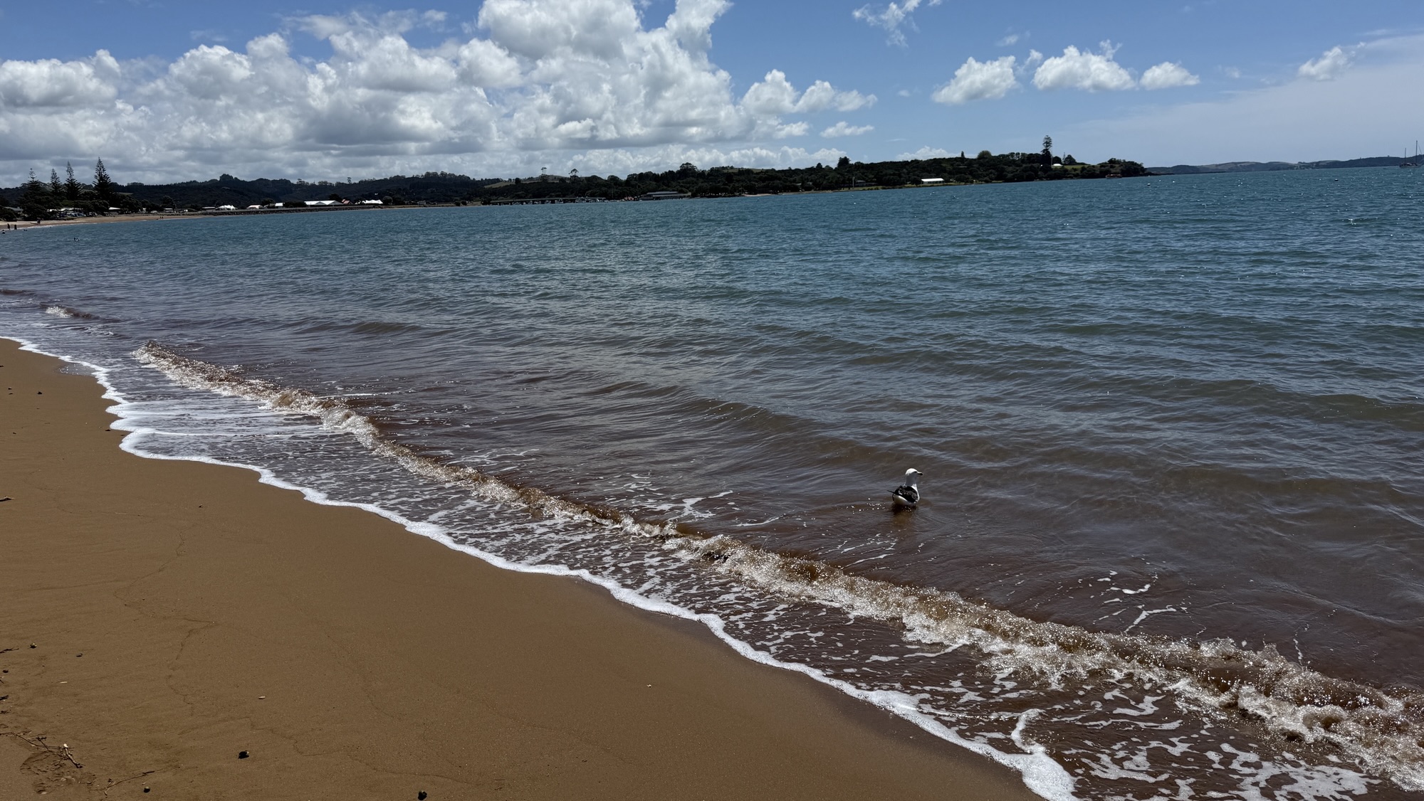 Day 18: Bay of Islands, New Zealand