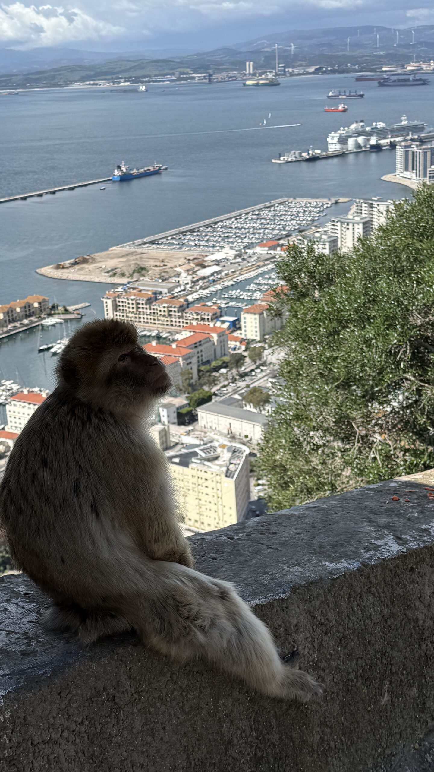 Day 65: Gibraltar
