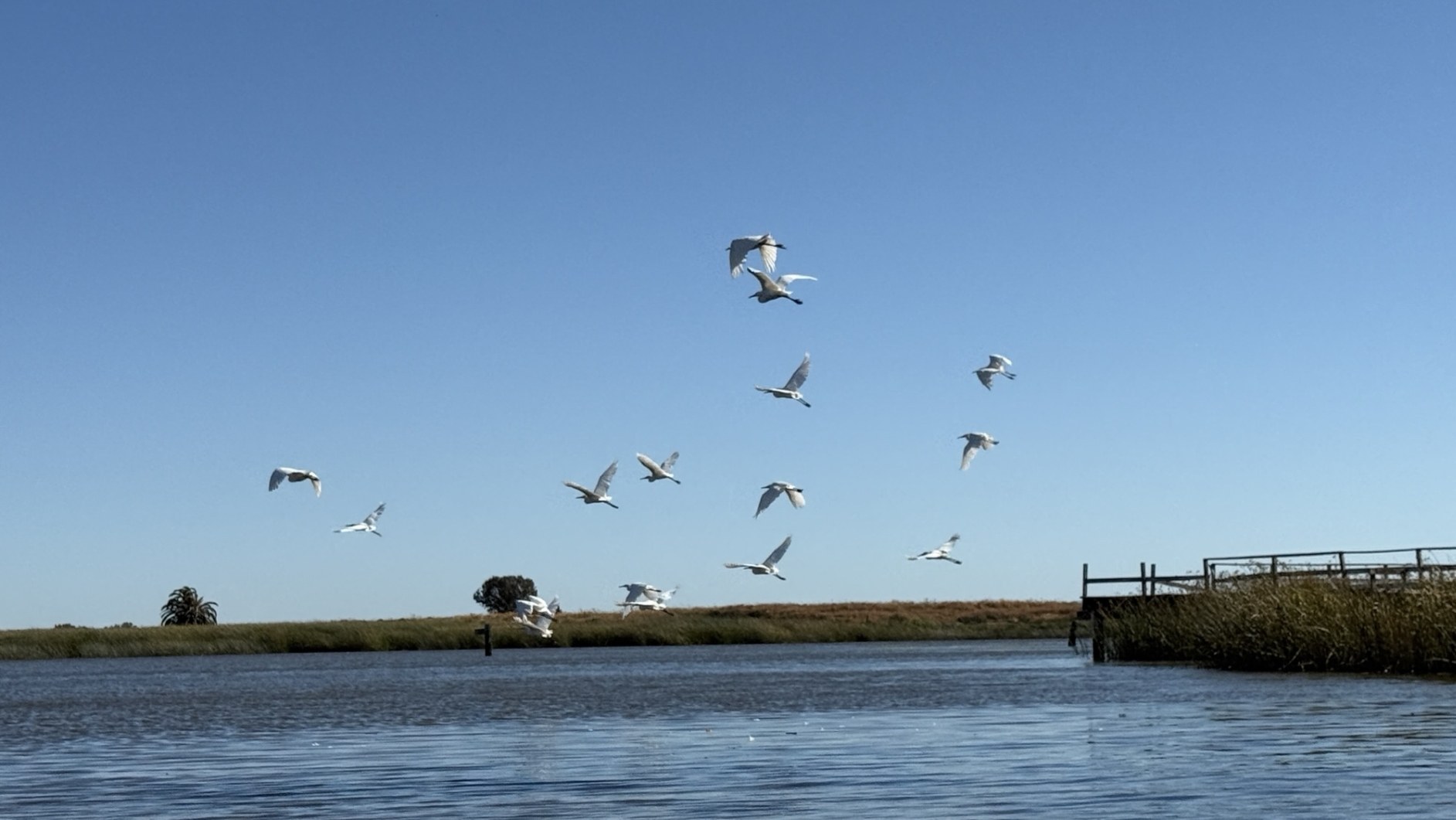 August Paddle Around the Swamp