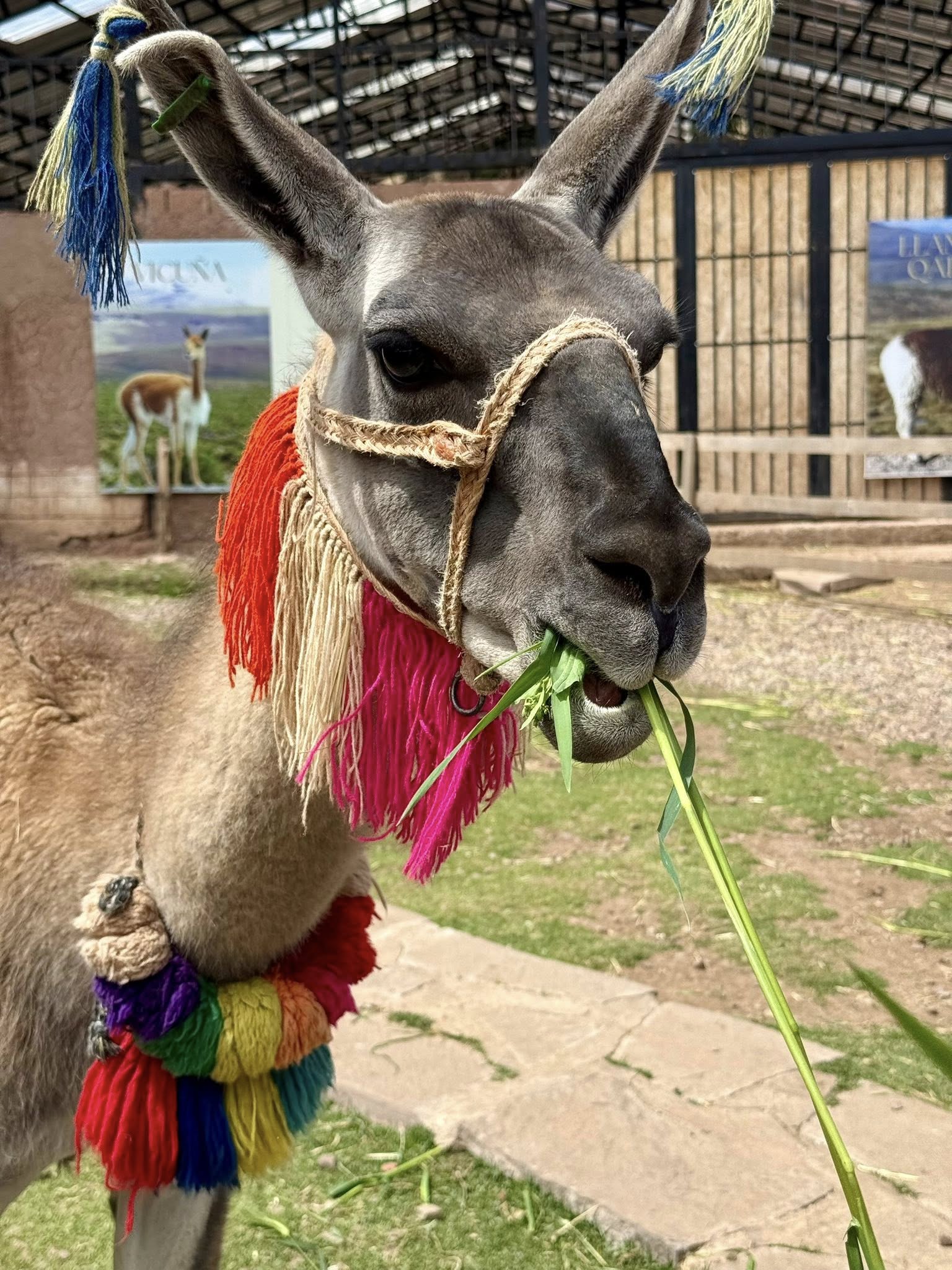 Fly to Cusco, Weaving and Sacred Valley