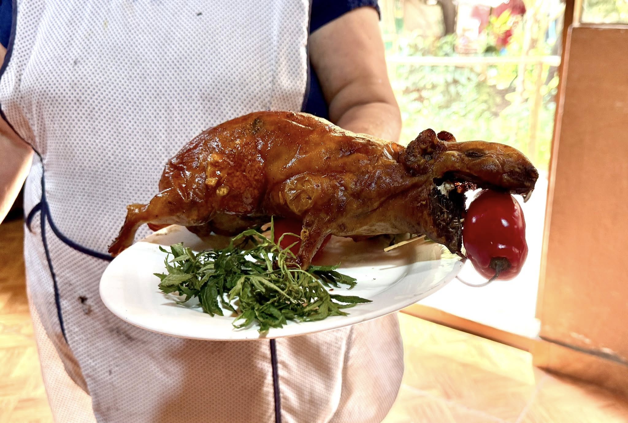 Coca, School Visit, & Home Cooked Meal